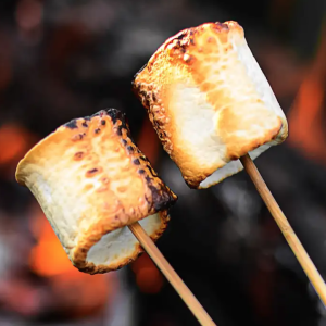 Toasted Marshmallow