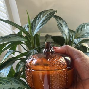 Pumpkin Glass Candle